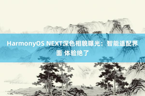 HarmonyOS NEXT深色相貌曝光：智能适配界面 体验绝了