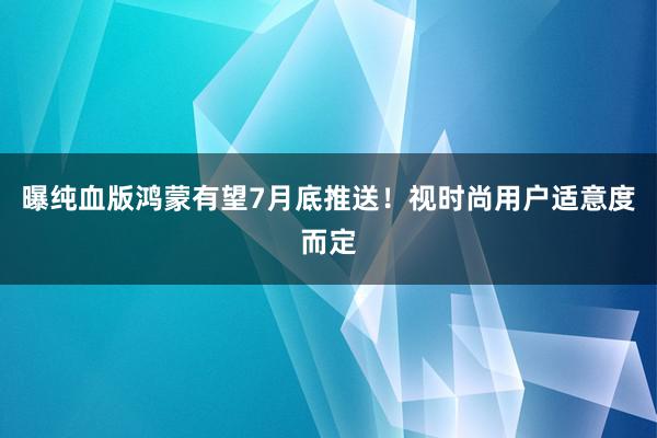 曝纯血版鸿蒙有望7月底推送！视时尚用户适意度而定