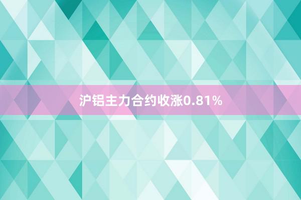 沪铝主力合约收涨0.81%