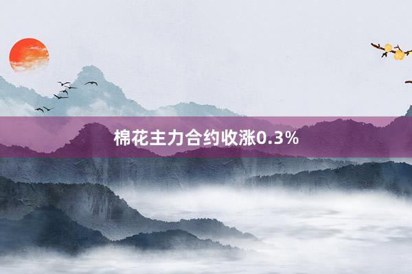 棉花主力合约收涨0.3%