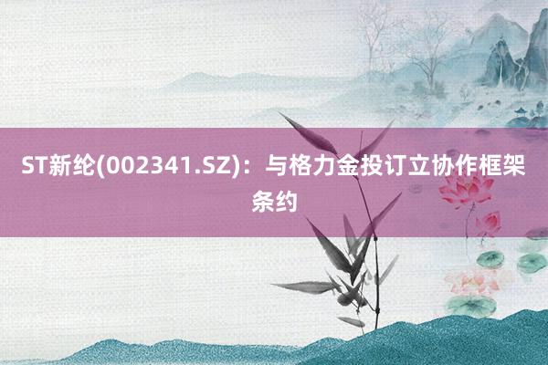 ST新纶(002341.SZ)：与格力金投订立协作框架条约