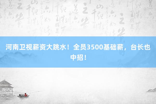 河南卫视薪资大跳水！全员3500基础薪，台长也中招！